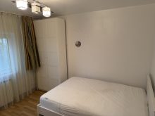  Apartament 3 Camere Brancoveanu — fotografie 13