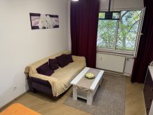 Garsoniera  Bucuresti Blvd Ion Mihalache — fotografie 2