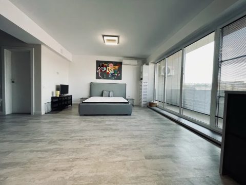 Studio la prima inchiriere in bloc nou cu balcon in zona Dacia