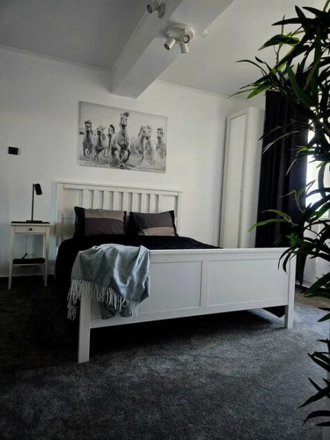 Garsoniera Cismigiu Bucuresti