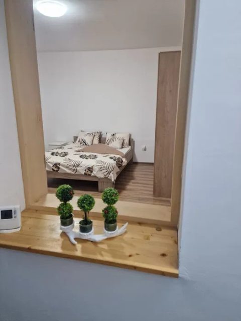  Apartament 1 Camere Central Timisoara