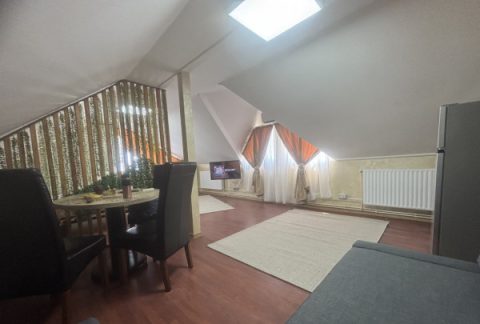  Apartament 2 Camere Central Voluntari