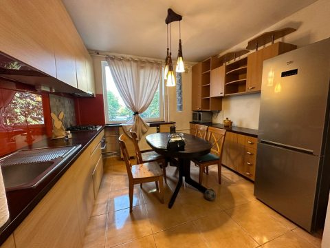 Costin Georgian | 4 Camere | Balcon | Centrala | Parcare | Pet friendly|Parc IOR