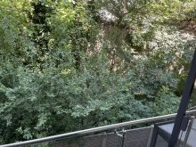  Apartament 2 Camere Mosilor Bucuresti — fotografie 16
