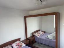  Apartament 3 Camere Tineretului Bucuresti — fotografie 7