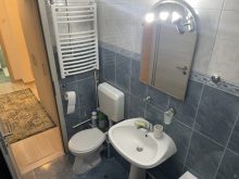 Apartament 3 Camere/2 Bai Sebastian Bucuresti — fotografie 16