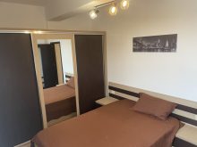  Apartament 2 Camere Splaiul Unirii/Mihai Bravu Bucuresti — fotografie 7