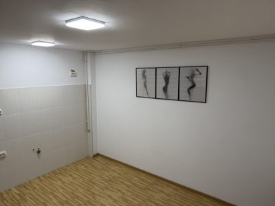 Spatiu de birouri Iancului
