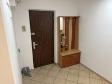  Apartament 2 Camere Blvd. Basarabia-Arena Nationala Bucuresti — fotografie 14
