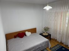  Apartament Spatios 3 Camere Splaiul Unirii Bucuresti — fotografie 8