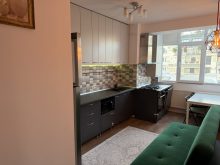  Apartament 3 Camere Cismigiu Bucuresti — fotografie 8