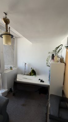  Apartament 4 Camere Gara de Nord Bucuresti — fotografie 26
