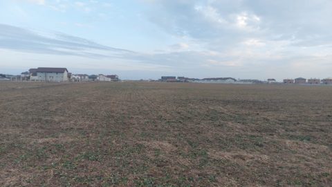 Domnesti Teren 25.000mp PUZ Deschidere Drum 118m